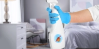 Traitement vapeur punaise de lit Sévaz 1541 – Sans produit chimique dans le Fribourg
