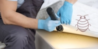 Traitement vapeur punaise de lit Bösingen 3178 – Sans produit chimique dans le Fribourg